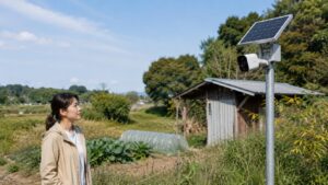 農地に設置されたソーラー式防犯カメラを確認する日本人女性